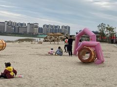 -九龙湖公园