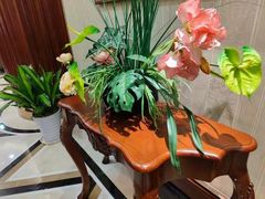 -金时代顺风大酒店(协泰店)