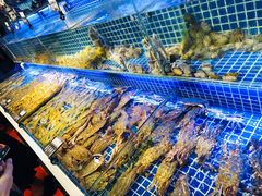 -必点海鲜·鲅鱼水饺(鞍山西道店)