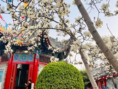 -西安市广仁寺