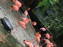 -东部华侨城