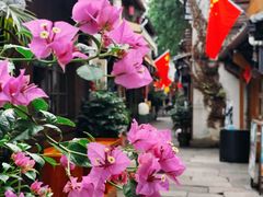 -小河直街历史文化街区