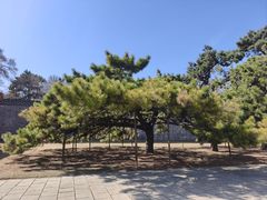 -北陵公园