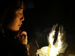 -你好独角兽·蛋糕甜品