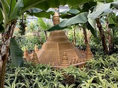 -南宫五洲植物乐园