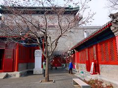 -古陶文明博物馆