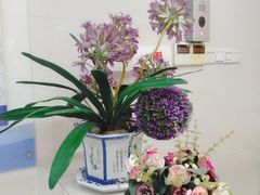 -广州市番禺中心医院(主院区)