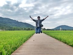-艾米稻香小镇