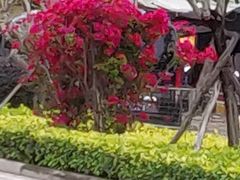 -老街冷水鱼烧烤(河堤夜市店)