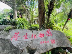-中国科学院西双版纳热带植物园