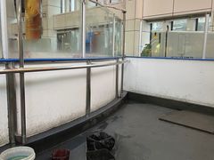 -冠军冰场CHAMPION RINK(中华城店)