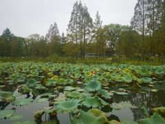 -水上明月·湖景餐厅