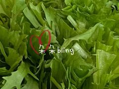 苦菊-黑驴王子驴肉火锅