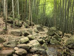 -莫干山风景区