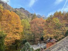 -秦岭终南山世界地质公园翠华山景区