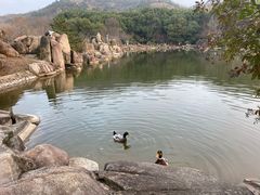 -白马涧龙池景区