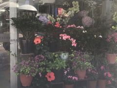 -证大大拇指广场(芳甸路店)