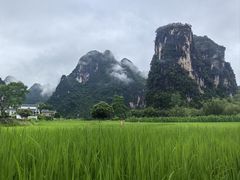 -明仕田园