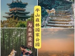 -杭州半山国家森林公园