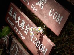 -北京西山国家森林公园