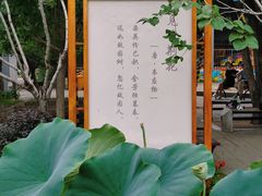 -紫荆山公园
