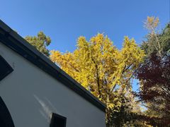 -东湖落雁景区