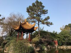 -富乐山