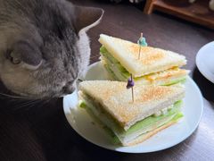 -隅cafe(傅厚岗店)