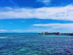 -悉尼歌剧院