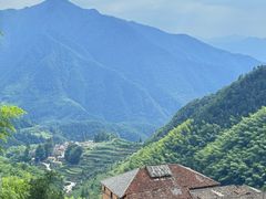 -杨家堂村