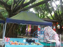 -广东茂名森林公园