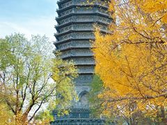 -玲珑塔公园