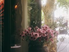 -Apollo·西班牙小酒馆(安福路店)