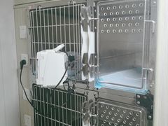 -半岛宠物医院24小时(科华中路店)