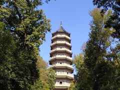 -灵谷景区