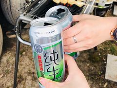 -崇明东平国家森林公园烧烤房车露营地