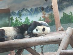 -西安秦岭野生动物园