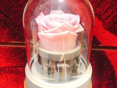 -ROSEONLY诺誓(沈阳万象城店)