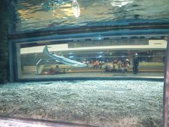 -绍兴梦享海洋公园