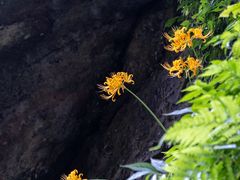 -桂林资江天门山风景区
