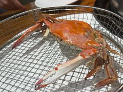 -海味当家·蒸锅海鲜(星海公园店)