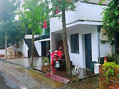 -龙坞茶村