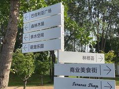 -林栖谷森林康养度假区