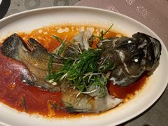 清蒸生猛石斑鱼-采悦轩中餐厅·粤菜·海南菜(神州半岛喜来登度假酒店)