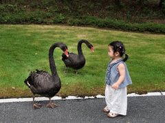 -佛冈森波拉度假区