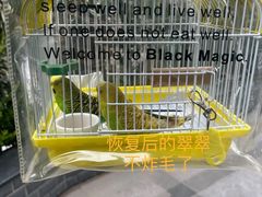 -雨林宠物医院·异宠专科(浦东分院)