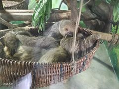 -杭州野生动物世界