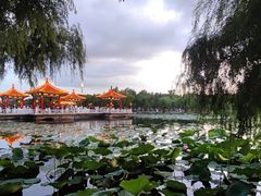 -长春市南湖公园