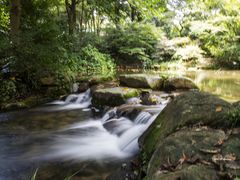 -中国茶叶博物馆(双峰馆区)
