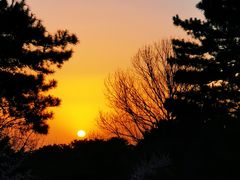 -北京西山国家森林公园